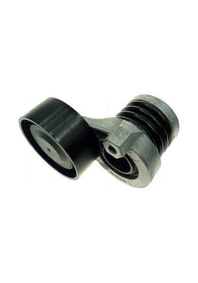 Alternatör Kayış Gergisi Clıo Iv 117501113R