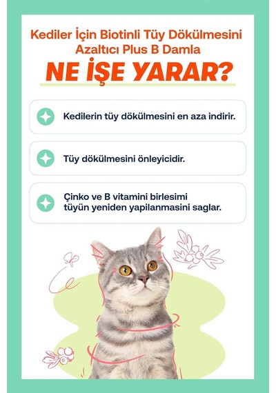 Kediler İçin Plus B Damla 50ml Ve Tüy Dökülmesini Engelleyici Biotinli Tüy Sağlığı Damlası 3 Paketi