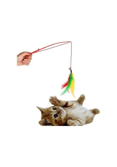 Kedi Oltası - Tüylü