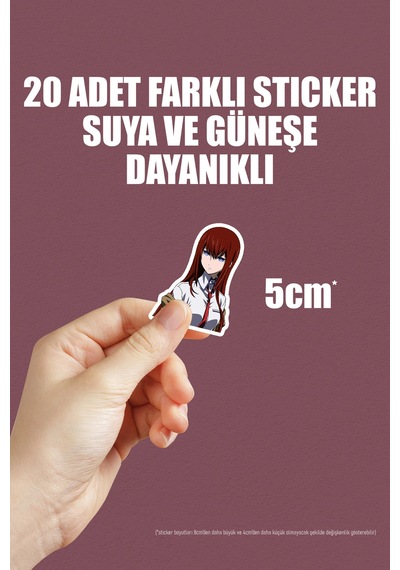 Steins Gate Anime Sticker Paketi 20 Adet Çok Renkli