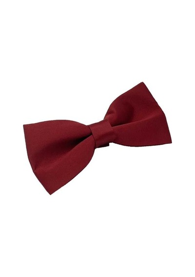 Brianze Bordo Düz Renk Saten Papyon Bordo