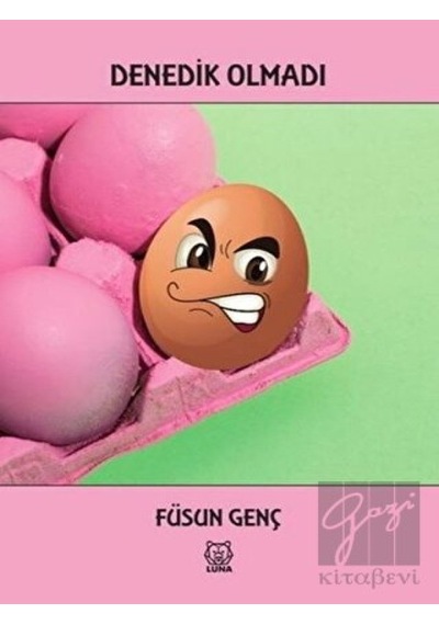 Denedik Olmadı - Füsun Genç - Luna Yayınları
