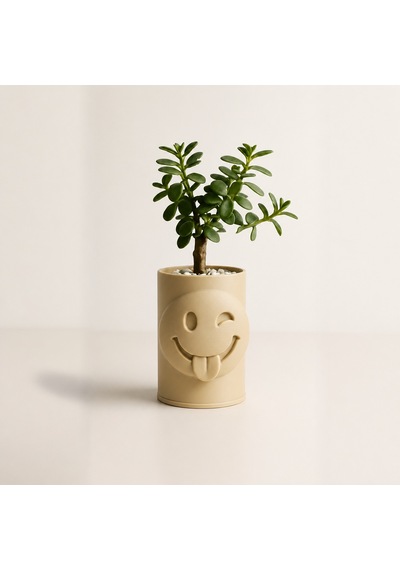 3d Baskı Emoji Planter - Göz Kırpan Yüzlü Sukulent Saksısı-bej