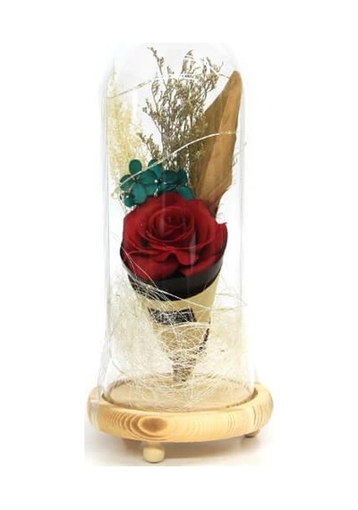 Fanus Gül 28/12cm Cam Fanus Led Işıklı Hediyelik
