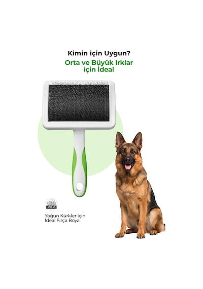 Andis Kedi Köpek İçin Genel Tarama Fırçası Sert Pinli Büyük
