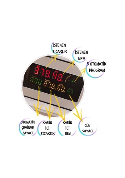 Kaz Kulucka Kabin Tip 196 Tavuk Yumurta Kapasiteli Kuluçka Makinesi