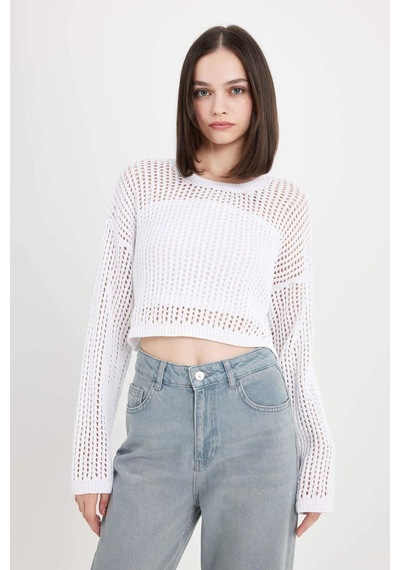 Defacto Regular Fit Bisiklet Yaka Kroşe Ajurlu Delikli Crop Triko Kazak T4513AZ24AUER103 Ekru