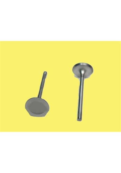 Gunes Supap Takımı Uc Tırnak Ford Escort Fıesta Mondeo 1.6 Zetec 16 Valf 95 6602-6603 928m 6507 E2a 948m 6505 C2a