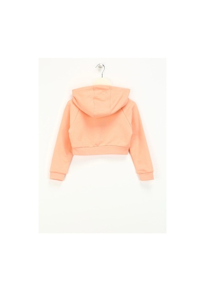 Haribo Somon Kız Çocuk Kapüşonlu Cropped Fit İşlemeli Sweatshirt Hrbtxt311 Somon