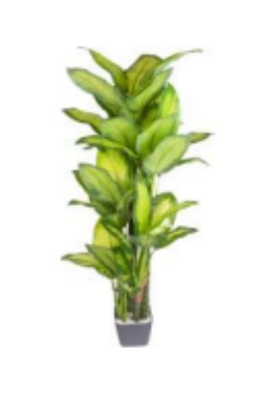 Yapay Deve Tabanı Bitkisi Monstera Ağacı , Saksıda, Yeşil - 18 Yapraklı, 70 Cm Çok Renkli