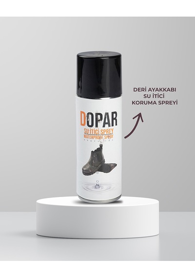 Kadın Siyah Deri Ayakkabı Bakım Seti Boya & Koruma & Fırça & Sünger