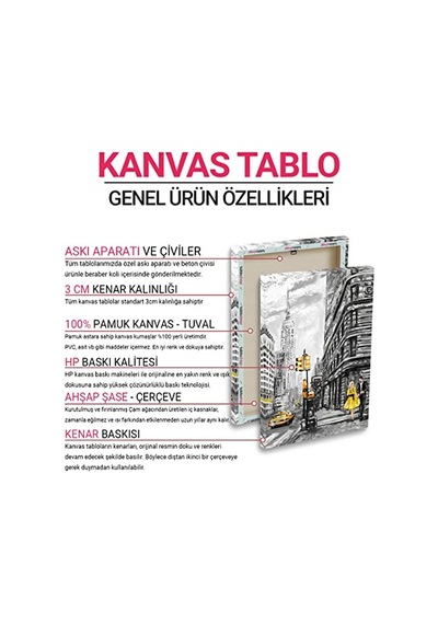 Galata Manzara Tablosu 50 X 50