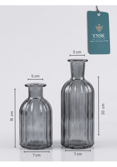 2 Li Cam Vazo Seti Minimalist Dekoratif Modern Nordic Çiçeklik Masa Üstü Vazo Füme