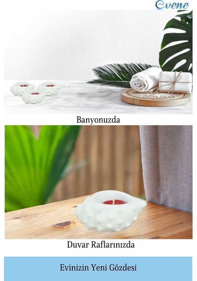 Mumluk Şamdan Tealight Mum Uyumlu Deniz Kabuğu Model - Beyaz