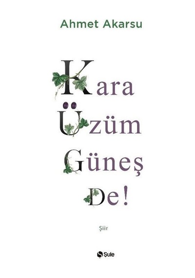 Kara Üzüm Güneş De! - Ahmet Akarsu - Şule Yayınları
