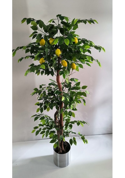 Rüzgar Yapay Çiçekçilik 180 Cm Limon Ağacı Yeşil