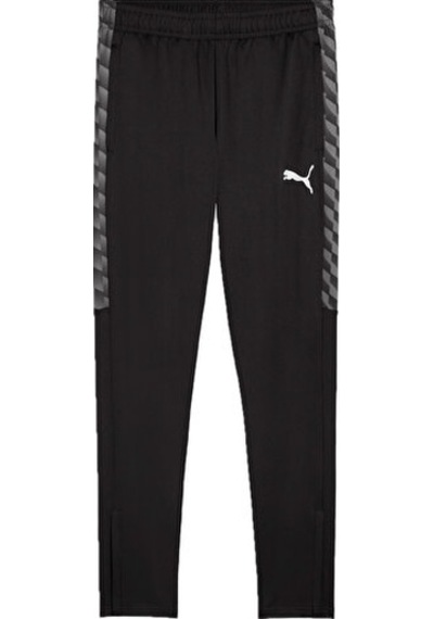 Puma Teamliga26 Training Pants Erkek Futbol Kamp Eşofman Altı 65973303 Siyah