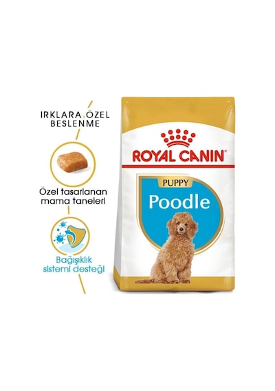 Royal Canin  Poodle Junior Yavru Köpek Maması 3 Kg