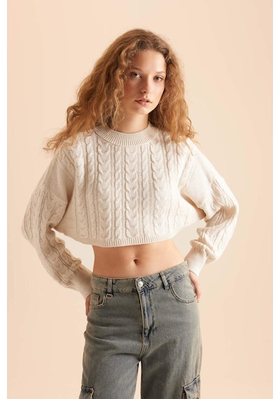 DeFacto Coool Regular Fit Bisiklet Yaka Triko Kazak T4518AZNSBG300 Bej