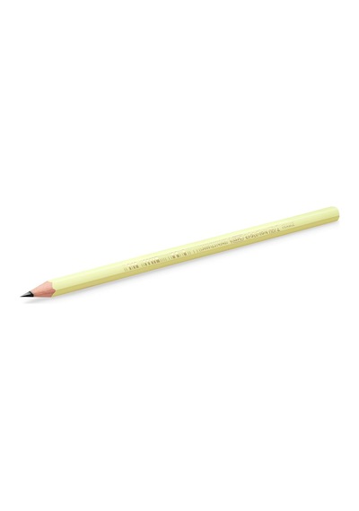 Ayrex Bıc Evolution Pastel Kurşun Kalem, 12'li Kutu, Kıymık Oluşturmaz, Çiğnemeye Karşı Dayanıklı, Kolay Açı Genel