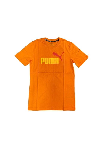 Puma Ess 2 Col Logo Tee Erkek Tshırt Turuncu