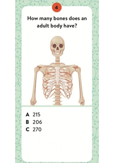 Human Body - The Ultimate Atlas Canlı Renkler