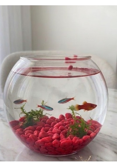 Mucit Home Kırmızı Pembe Karışık Fanus Taşı Akvaryum Balık Taşı
