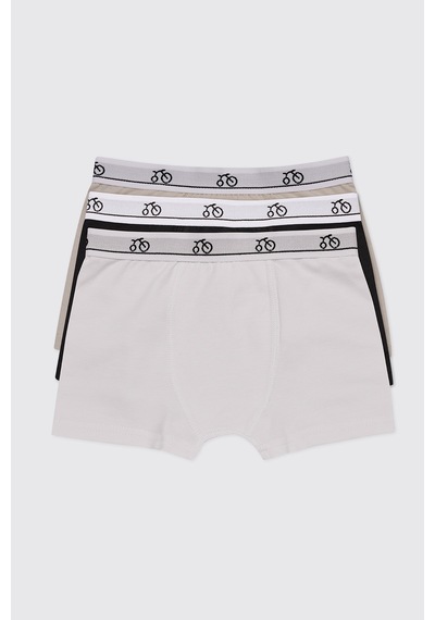 Panço Erkek Çocuk 3'lü Multi Boxer Seti 2602bk14003 Renkli