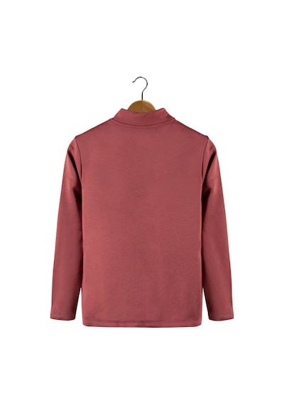 Terapi Men Erkek Kırmızı Yarım Fermuarlı Basic Düz Sweatshirt Kırmızı