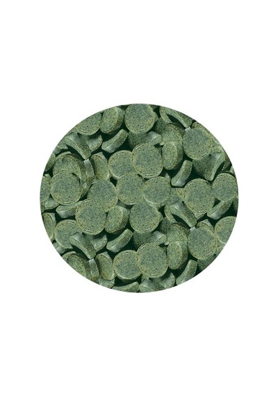 Sera Spirulina Tabs 1000 Adet - Kovadan Bölme