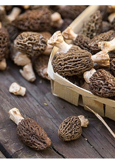 Kuzu Göbeği Mantarı Tohumu 200 Gr