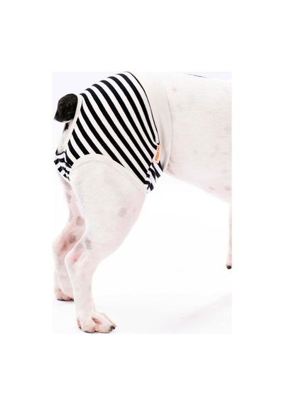 Black Striped Kedi-köpek Çamaşırı Regl Kilodu Kedi-köpek Kıyafeti