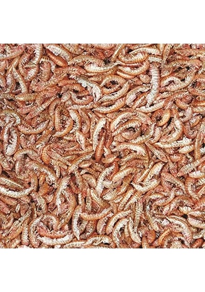 Gammarus Balık Yemi, 100 Ml, 12 Gram Ağırlığında