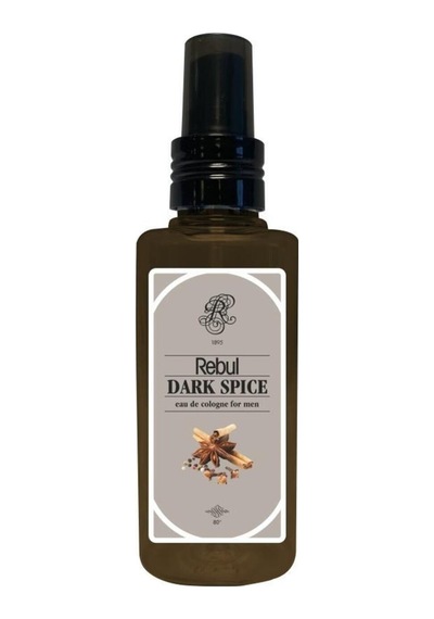 Rebul Aqua-ıce-dark Spice-pine Forest Plastik Şişe 125ml Set