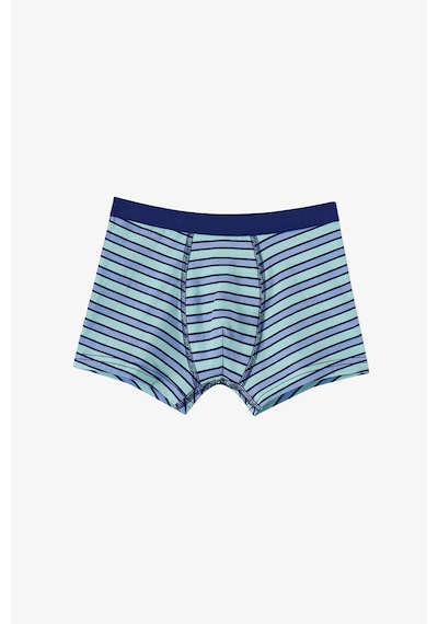 Penti Mavi Erkek Çocuk Fishy Friends 3lü Boxer
