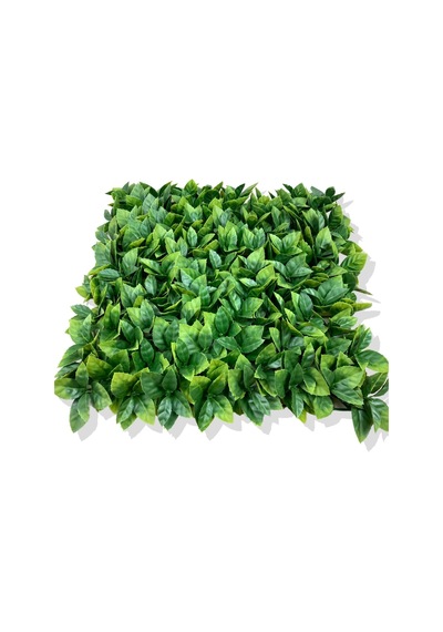 Cihan Çiçekçilik Yapay Portakal Yaprağı Bitki Duvar Kaplama 50x50 Cm Yeşil Beyaz- Yeşil