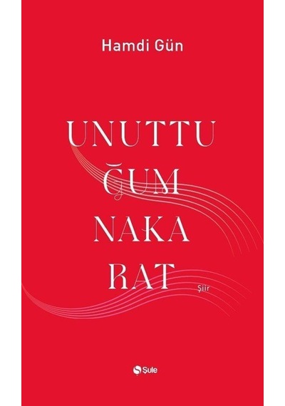 Unuttuğum Nakarat - Hamdi Gün - Şule Yayınları