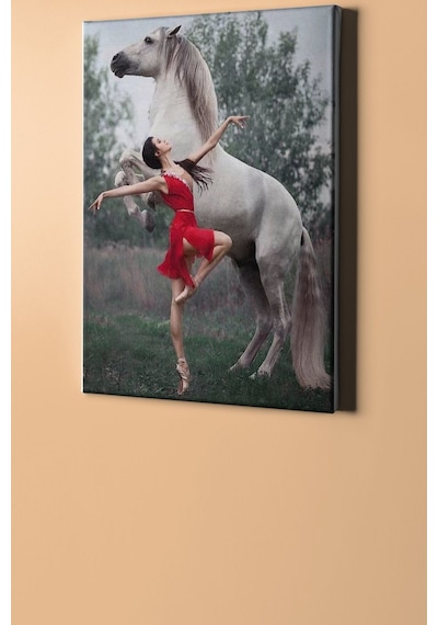 Webstyle Sayılarla Boyama Seti Kasnaklı Balerin Ve Beyaz At 60 X 75 Cm