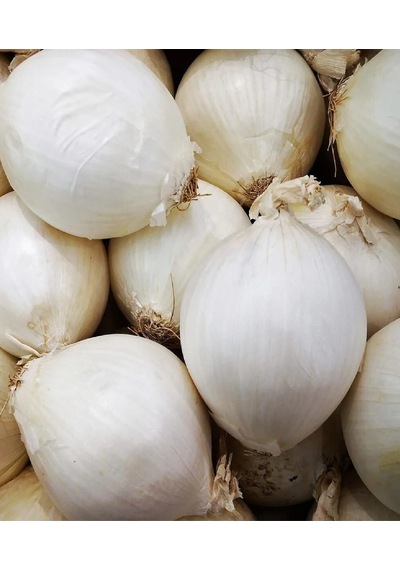 Beyaz Kuru Soğan Tohumu 10 GR