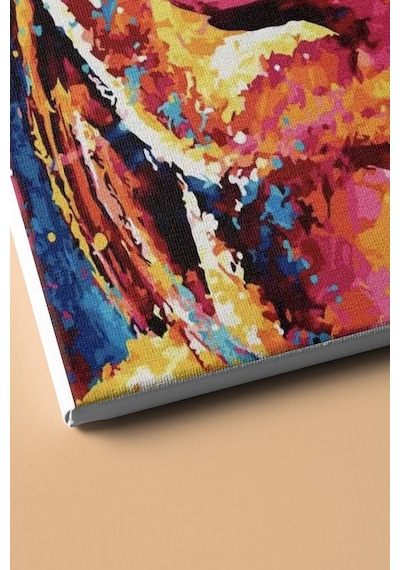 Webstyle Aslının Dünyası Sayılarla Boyama Seti Kasnaklı 40x50 Cm