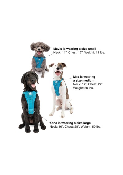 Köpek Koşum Takımı Evcil Hayvan Yürüyüş Koşumu No Pull Harness Ön Klips Fonksiyonu Antrenman İçin Dahil
