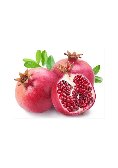 Kırmızı Nar Ağacı Tohumu 5 Tohum + Saksı + Toprak+ Tohum