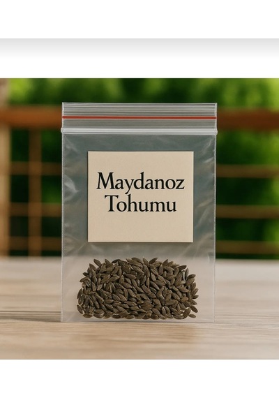 Maydanoz Tohumu Yetiştirme Seti 250 Addet Maydonoz Tohumu + Saksı + Toprak