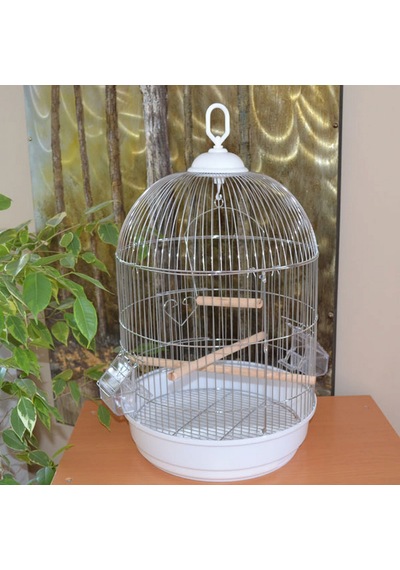Salon - 332 - Kafesı Yuvarlak Kafes Krom Ø34x55 X - Spt-gld - 1 Adet