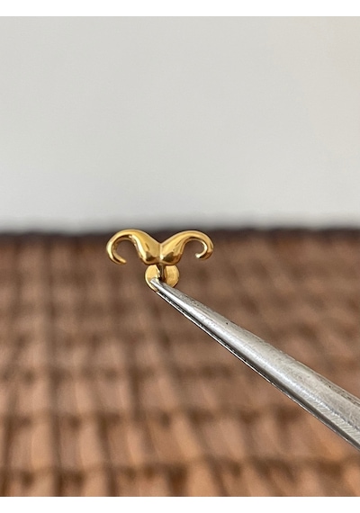 316 L Cerrahi Çelik Bıyık Modeli Dudak Kıkırdak Helix Tragus Piercingi Altın