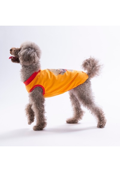 Turuncu Donut Teddy Tişört Kedi Köpek Tişörtü-kedi Köpek Kıyafeti