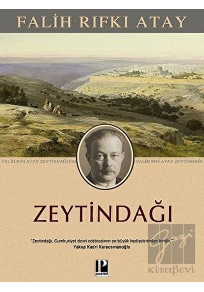 Zeytindağı Pozitif Yayınları  -  Pozitif Yayınları