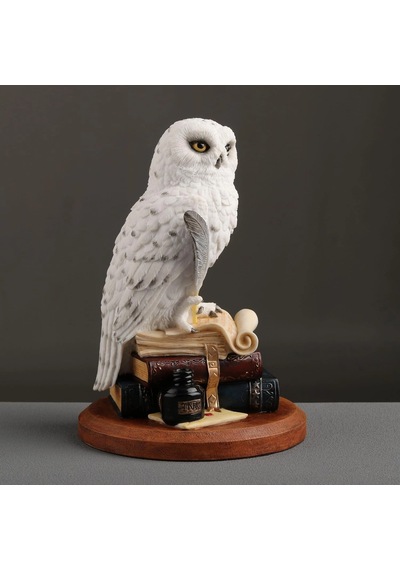 Kitap Üzerinde Beyaz Kar Baykuşu Hedwig Biblosu
