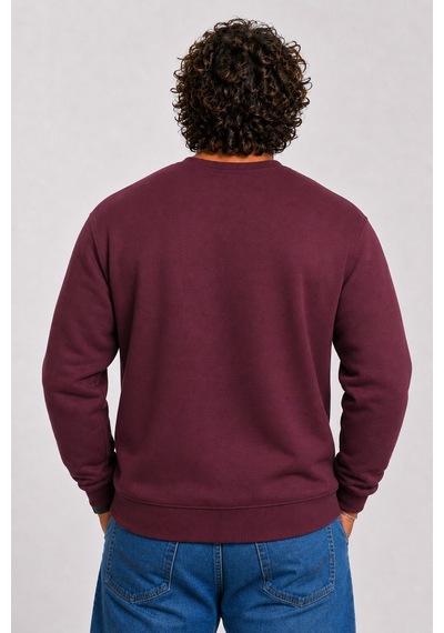 Starbattal Erkek Büyük Beden Sıfır Yaka 3ip Sweat Black 24202 Murdum-2854 Mürdüm