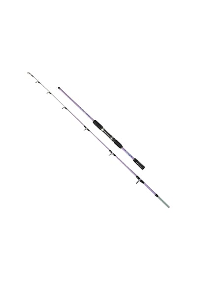 Fishpro Felix 150cm 50-150gr Purple Tekne Kamışı